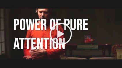 Power of Pure Attention